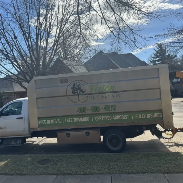 Does Homeowners Insurance Cover Storm Fallen Tree Removal in Edmond?