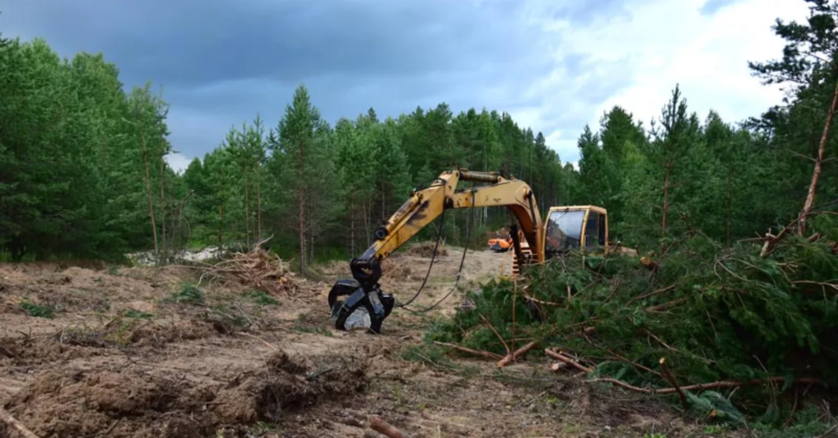 Land Clearing in Oklahoma City, OK
