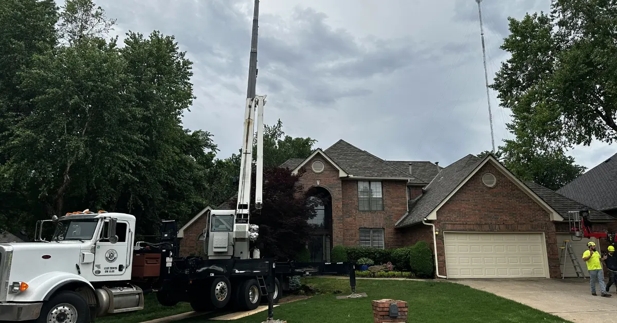 Vision Tree Service gallery 8