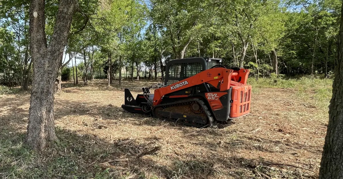 Brush Clearing