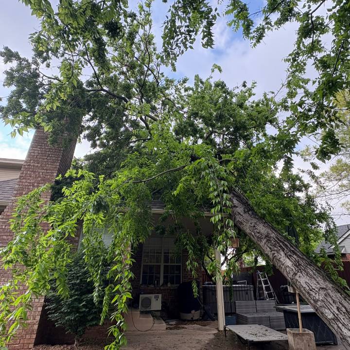 Storm-damaged tree near a home in Oklahoma City